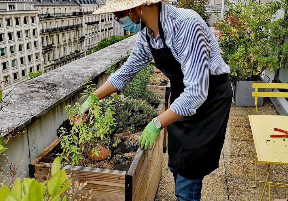 potager-entreprise.jpg